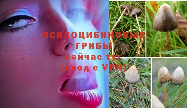 герыч Аркадак