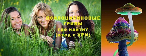 метадон Арсеньев