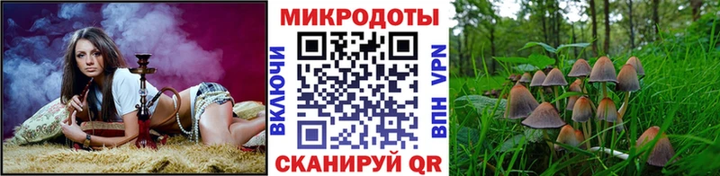 Галлюциногенные грибы ЛСД  Тайшет 